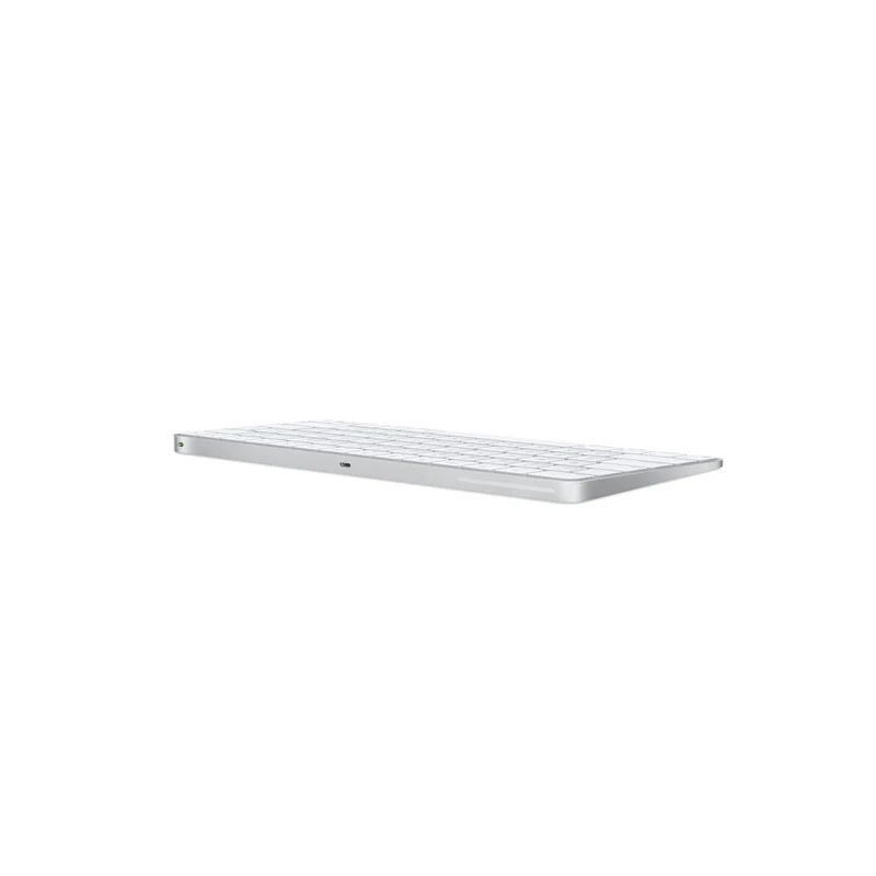 Apple MB110LL/B Standard Keyboard Silver