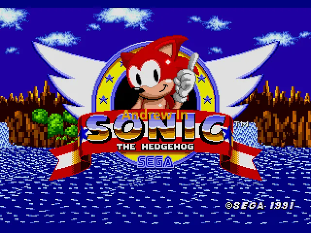 Andrew in Sonic the Hedgehog Sega Genesis Repro Game Cart