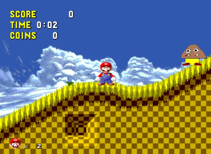 The Worst Sonic the Hedgehog Rom Hack Video Game Reproduction Game Cart Sega Genesis