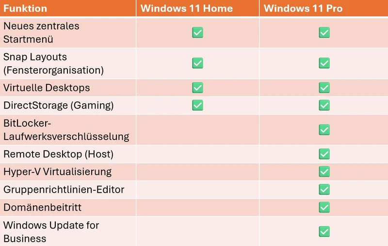 Microsoft Windows 11 Professional 64Bit USB-Stick (deutsch) (PC) Multilinguales