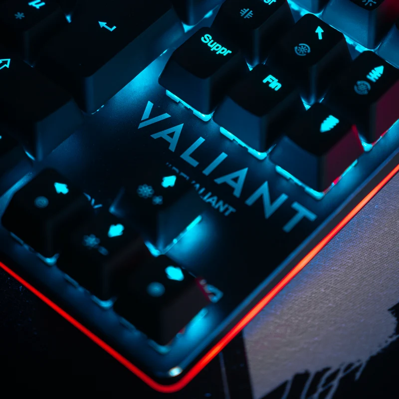 Clavier “Stellar” TKL Pro