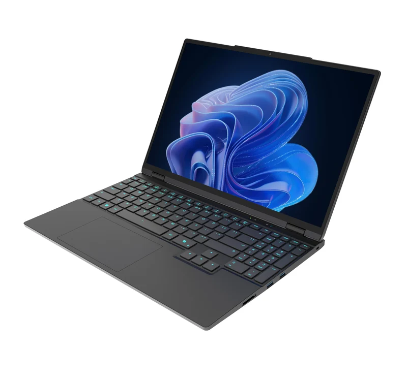 Captiva Notebook Highend Gaming Ryzen 7 255 (15.3", 16GB, 1TB SSD, GeForce RTX 5070 8GB)