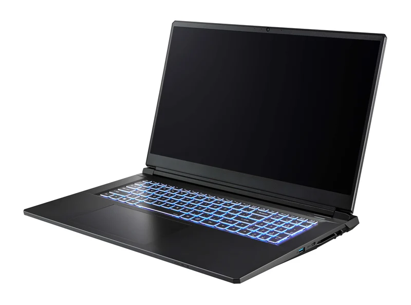 Captiva Notebook Highend Gaming i7-13620H (17.3", 64GB, 2TB SSD, GeForce RTX 5070 8GB)