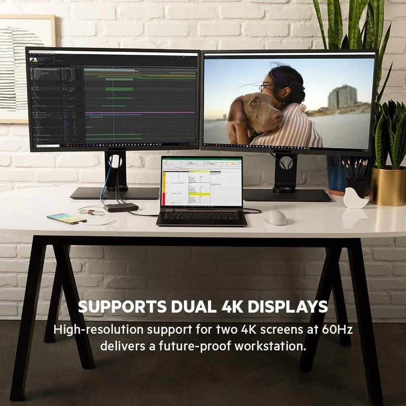 Belkin Thunderbolt Cable (Thunderbolt Dock for Mac and Windows) Dual 4K @60Hz, 40Gbps Transfer Speeds, 60W Upstream Charging
