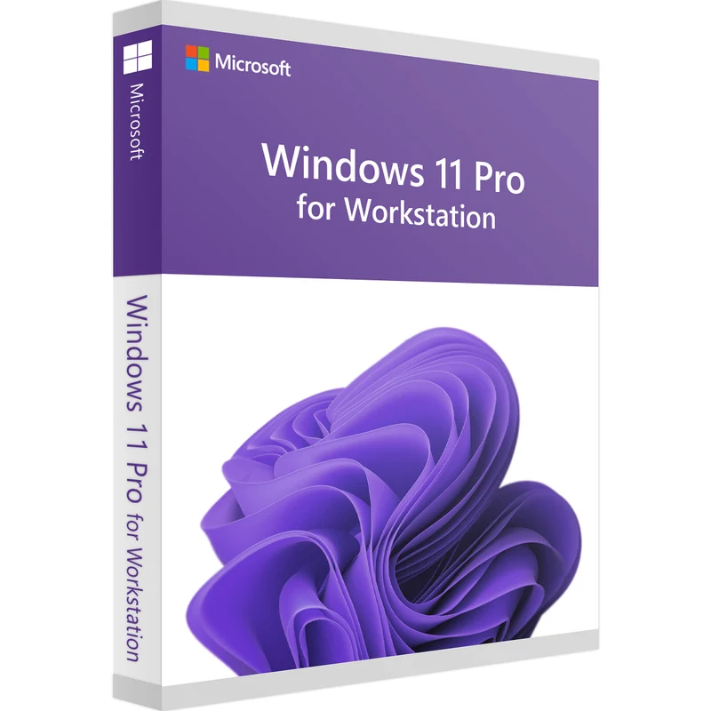 Microsoft Windows 11 Professional for Workstation per E-Mail 24/7