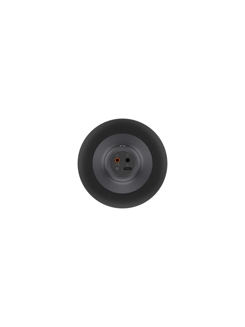 Xiaomi Karaoke Microphone