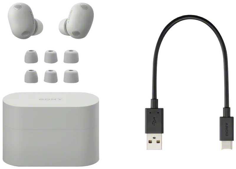 Sony WF-1000XM6 Noise Cancelling Earbuds Silver