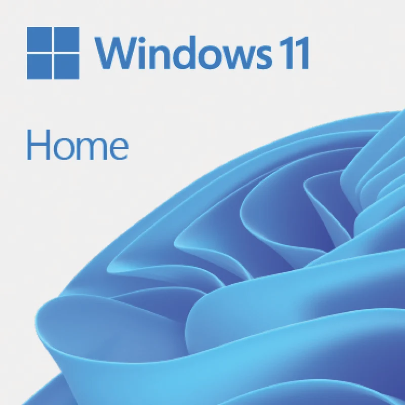Microsoft Windows 11 Home ESD