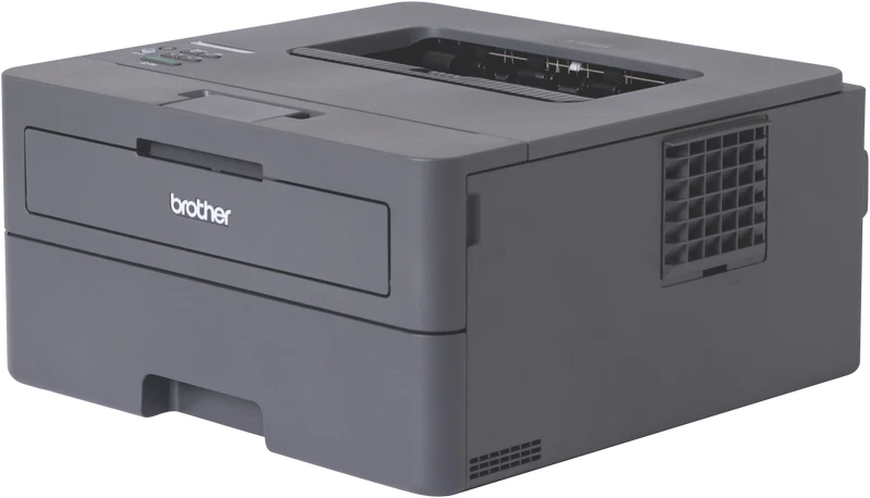 Brother Mono Laser Printer HL-L2445DW