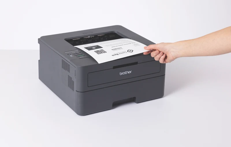 Brother Mono Laser Printer HL-L2445DW