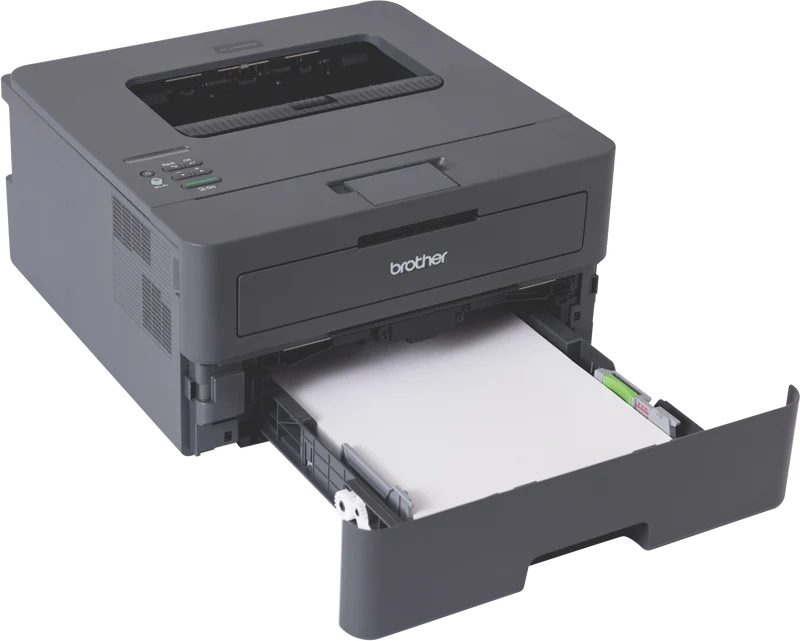 Brother Mono Laser Printer HL-L2445DW