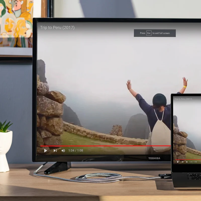 8K DisplayPort-Kabel