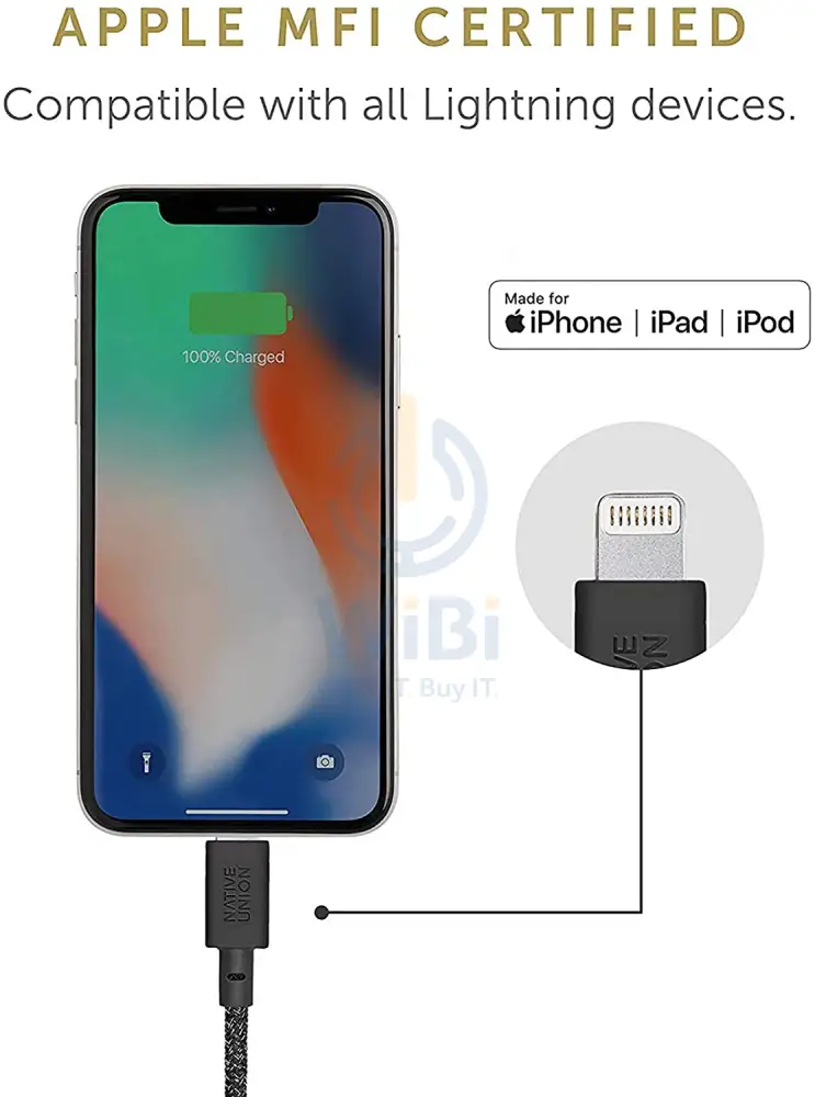 Native Union Night Cable USB-C to Lightning - Cosmos