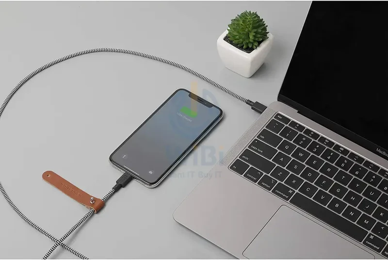 Native Union Belt Cable USB-C to Lightning 1.2M - Zebra