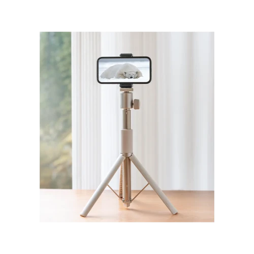 XGIMI Light Gold Portable Stand - Gold