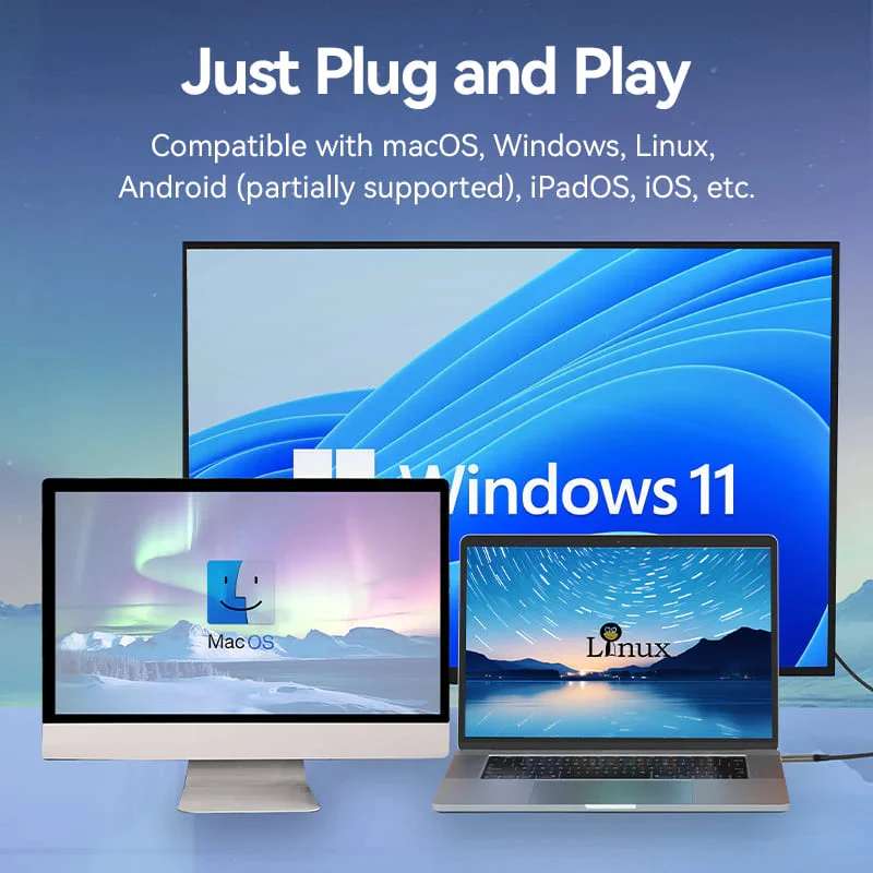 كابل فينشن يو إس بي C إلى ديسبلاي بورت - 8K / بطول 2 متر / أسود