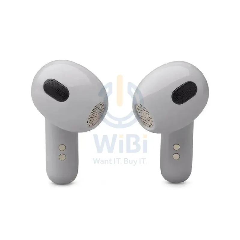 JBL Live Flex 3 Wireless Earbud - In-Ear / Bluetooth / Silver
