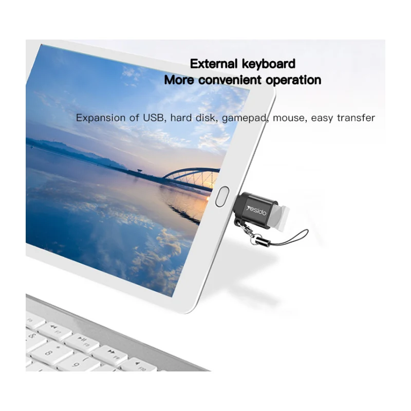 Yesido GS06 Type-C to USB-A OTG Adapter - USB-A / USB-C / Black