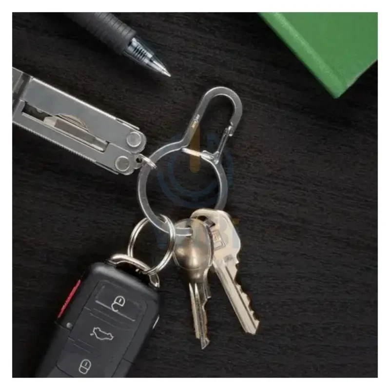 NiteIze DualPass Dual Chamber Key Ring