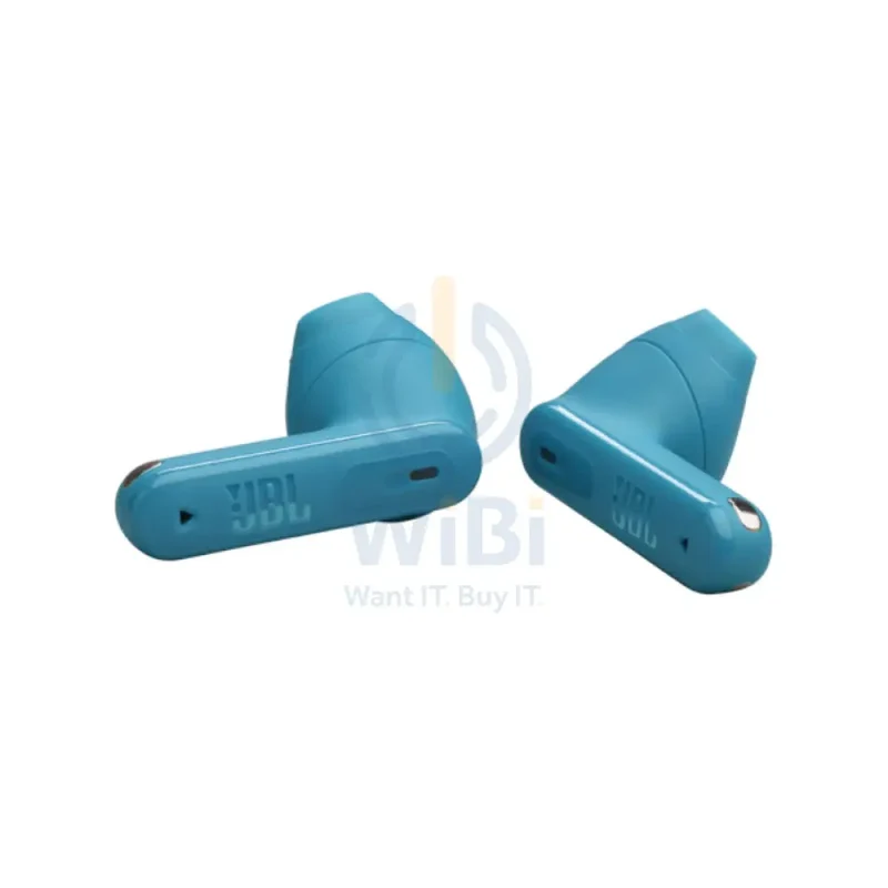 JBL Tune Flex 2 True Wireless Earbuds - In-Ear / Bluetooth / Blue