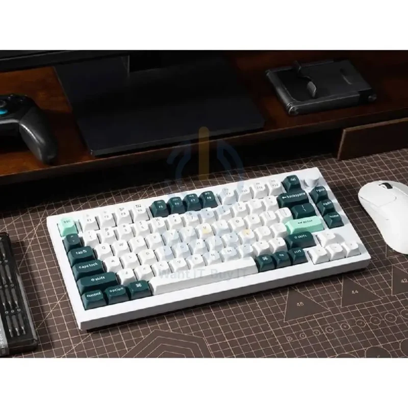 لوحة مفاتيح ألعاب ميكانيكية كيكرون Q1 HE بحجم 75% ومفاتيح قابلة للتبديل - لاسلكية / RGB / إنجليزية/عربية / أبيض صدفي