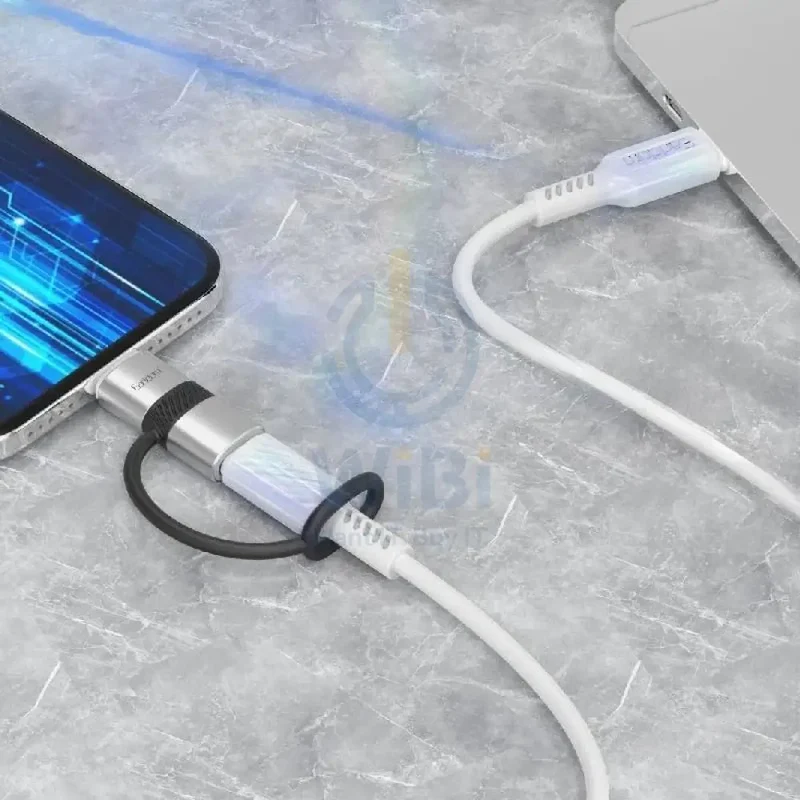 Earldom OT90L Type-C to Lightning OTG Adapter - Silver