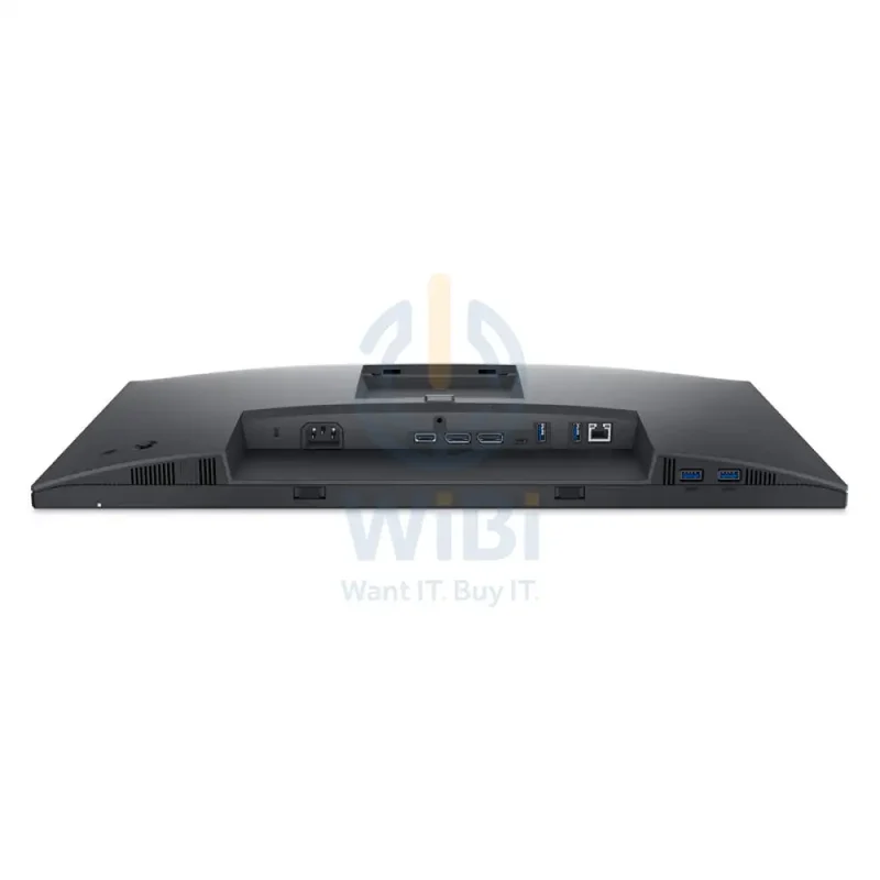 Dell P2422HE - 23.8" IPS LED / 8 ms / HDMI / DisplayPort / LAN / USB-C - Monitor