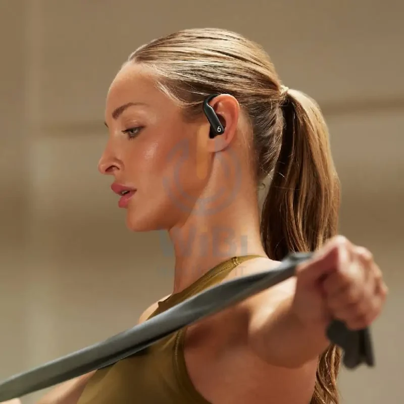 Beats Powerbeats Pro 2 Wireless Earbud - Bluetooth / In-Ear / Jet Black