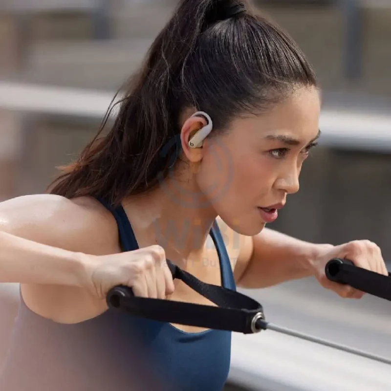 Beats Powerbeats Pro 2 Wireless Earbud - Bluetooth / In-Ear / Quick Sand