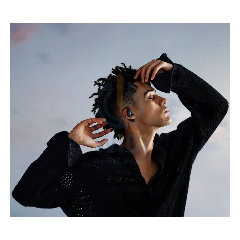Huawei FreeArc - In-Ear / Bluetooth 5.2 / USB Type-C / Black - Earbuds