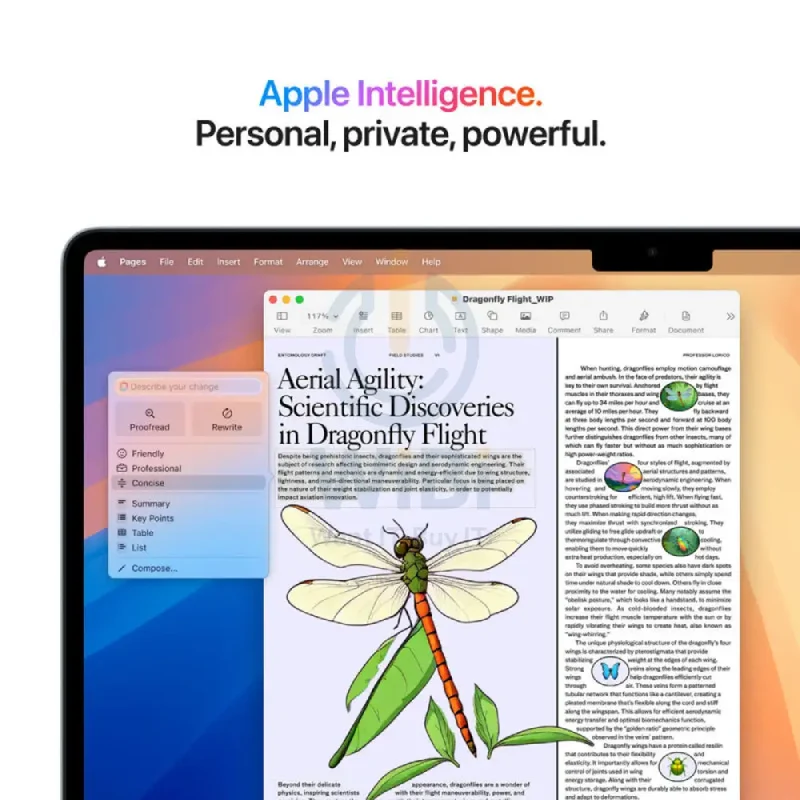 Apple MacBook Air - 15.3" / M4 / 10-Core CPU / 10-Core GPU / 16-Core Neural Engine / 16GB RAM / 256GB SSD / Arabic/English / Silver / 1YW