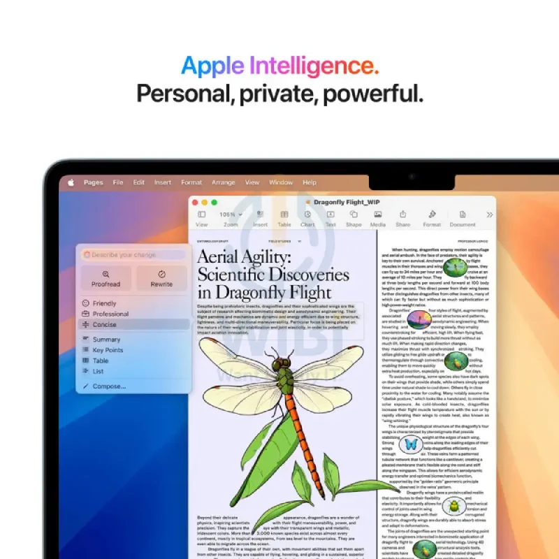 Apple MacBook Air - 13.6" / M4 / 10-Core CPU / 8-Core GPU / 16-Core Neural Engine / 16GB RAM / 256GB SSD / Arabic/English / Starlight / 1YW