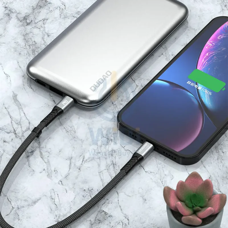 DUDAO L10P PD Fast Charging Data Cable - 23CM / 20W / Type-C / Black