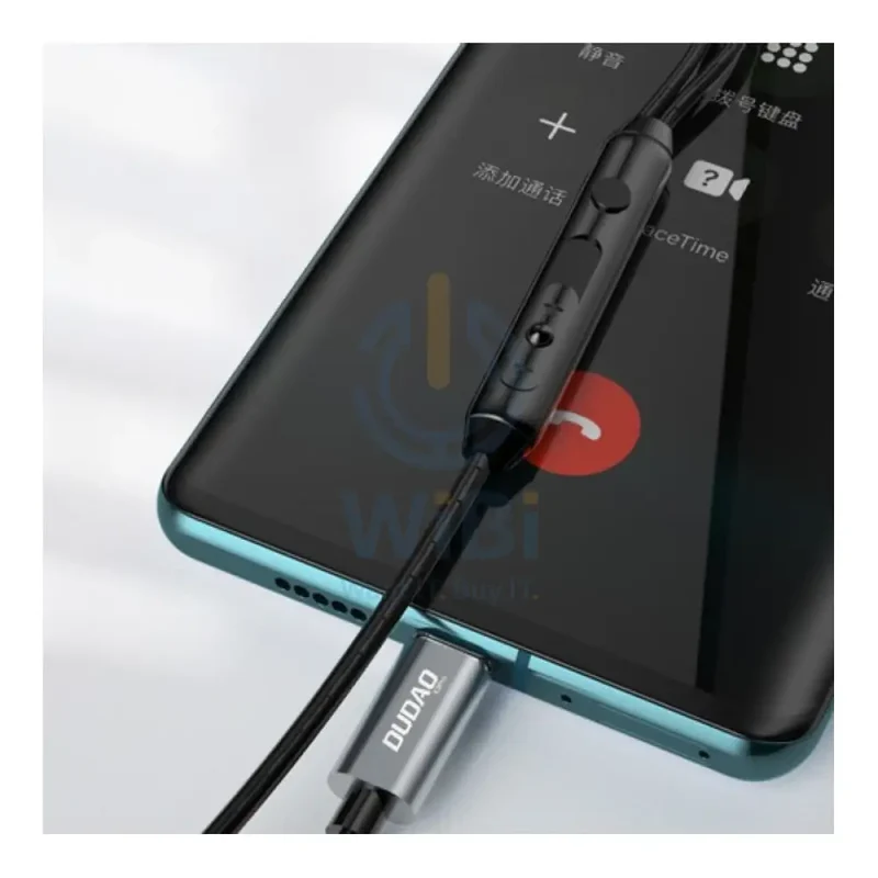 DUDAO X3Pro Earphone - USB-C / Wired / Black
