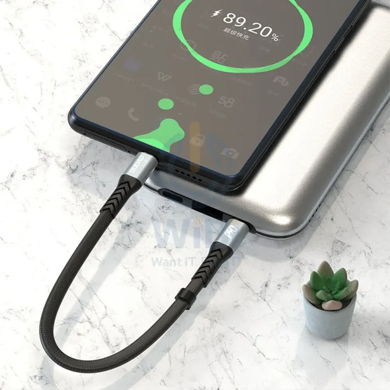 DUDAO L10C Fast Charging Data Cable - 100W / Type-C / Black