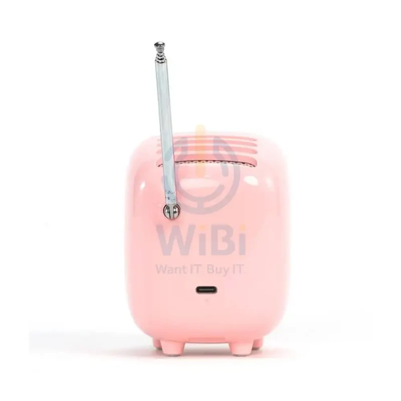 Divoom Tiivoo-2 Photo Album & Lyrics Bluetooth Mini Speaker - Light Pink