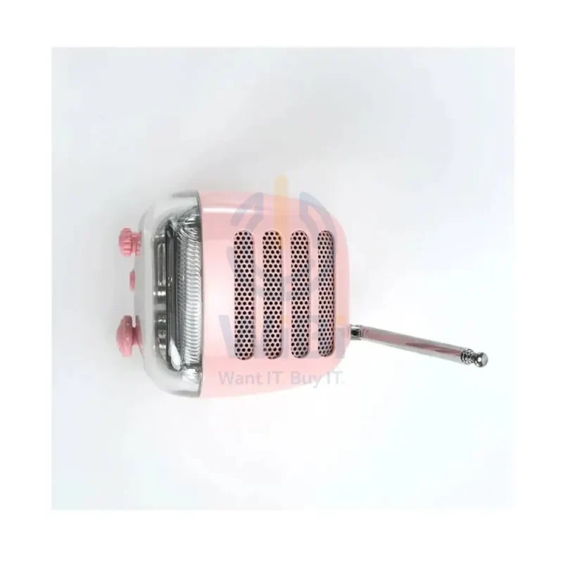 Divoom Tiivoo-2 Photo Album & Lyrics Bluetooth Mini Speaker - Light Pink