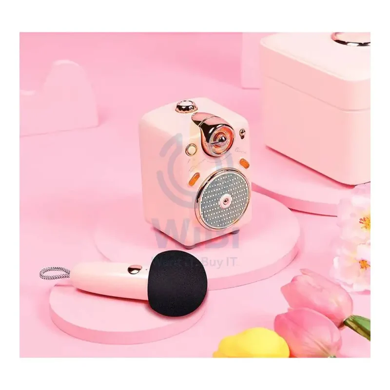 Divoom Fairy-OK Bluetooth Portable Speaker With Microphone Karaoke Function - Pink