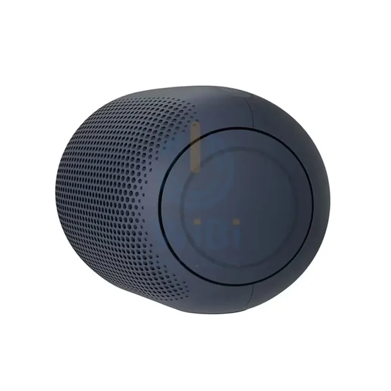 LG XBOOM Go PL2 Bluetooth Speaker