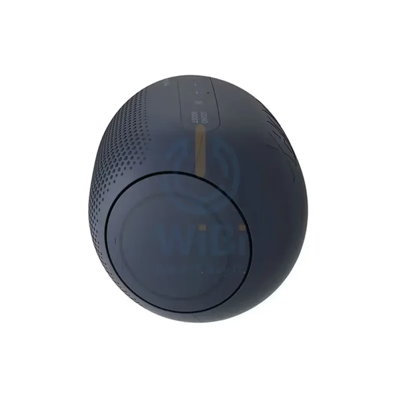 LG XBOOM Go PL2 Bluetooth Speaker