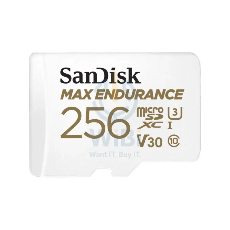 SanDisk MAX ENDURANCE microSD Card - 256GB / Up to 100MB/s
