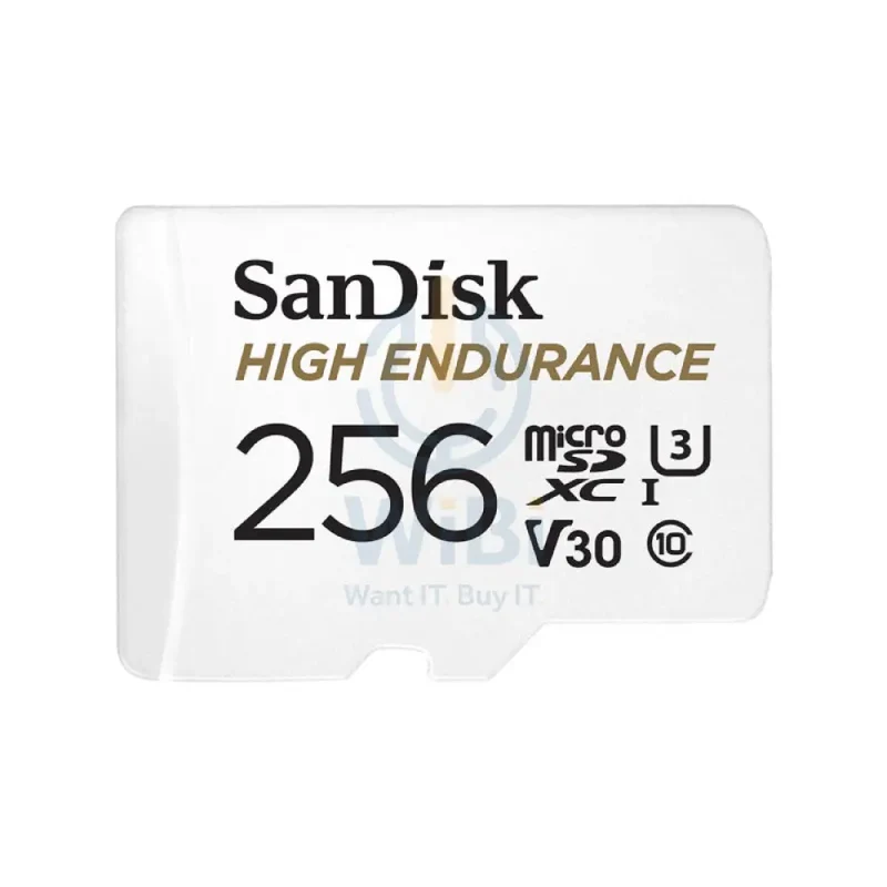 SanDisk High Endurance microSD Card - 256GB / Up to 100MB/s