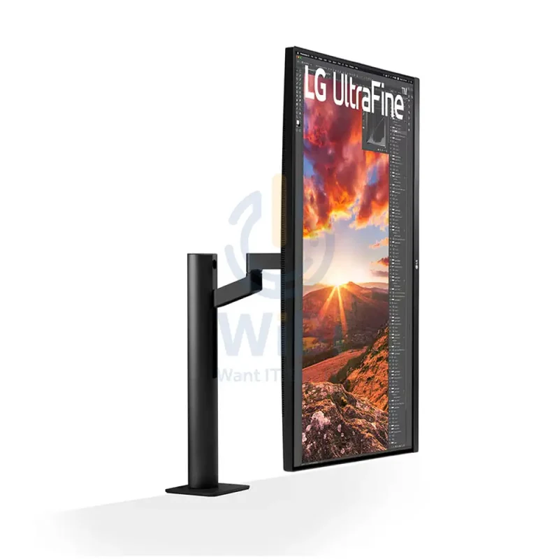 LG Ultrafine Ergo Monitor - 31.5" 4K IPS HD / 5ms / USB-C / HDMI / DisplayPort / 60Hz - Monitor
