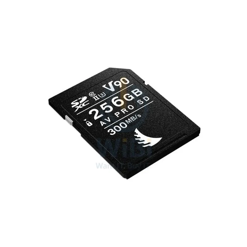 بطاقة ذاكرة أنجل بيرد AVP256SDMK2V90، سعة 256 جيجابايت، AV Pro MK2، UHS-II، SDXC