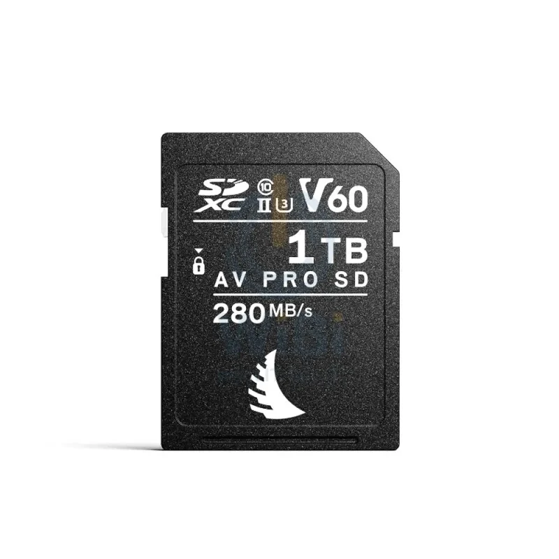 بطاقة ذاكرة أنجل بيرد AVP1T0SDMK2V60 إيه في برو MK2 UHS-II SDXC - سعة 1 تيرابايت