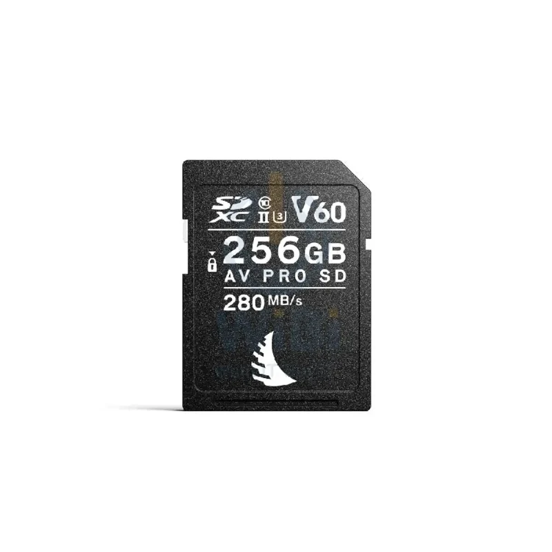بطاقة ذاكرة أنجل بيرد AVP256SDMK2V60 إيه في برو SD V60 MK2، سعة 256 جيجابايت