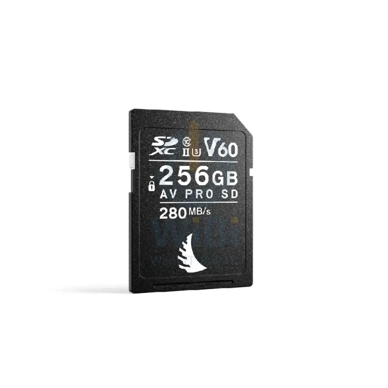 بطاقة ذاكرة أنجل بيرد AVP256SDMK2V60 إيه في برو SD V60 MK2، سعة 256 جيجابايت