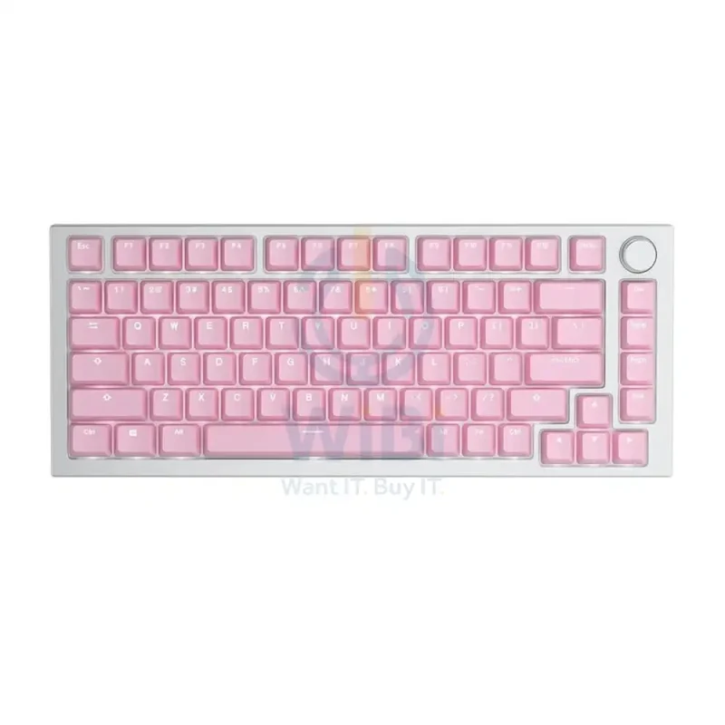 Glorious GMMK ABS Doubleshot V2 Mech Keycaps - 123 Keys / Pink