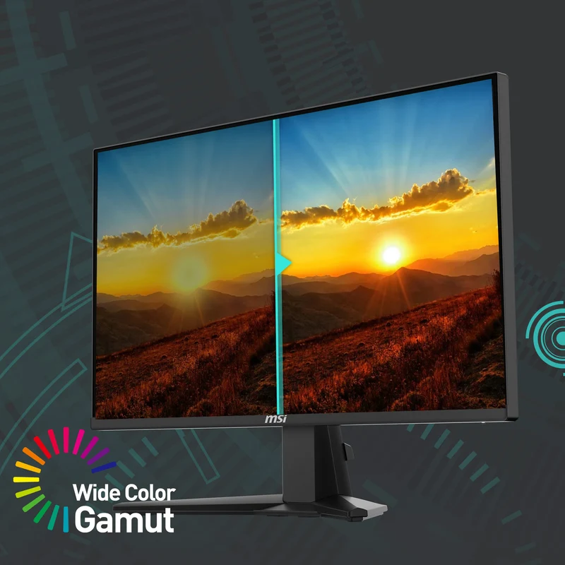 MSI CB G255FDE | MSI eSport Gaming Monitor