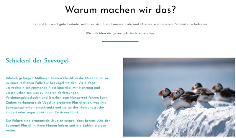 Der Meer Charger Shop - Projekt #210